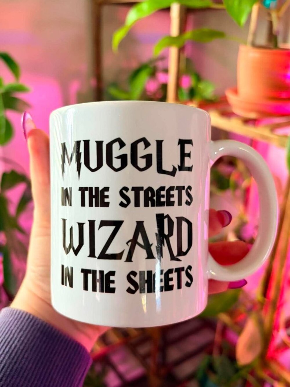 Harry Potter'Muggle in the Streets, Wizard in the Sheets'
